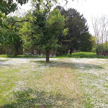 Charmante Maison Vitry-le-Francois Ngoại thất bức ảnh