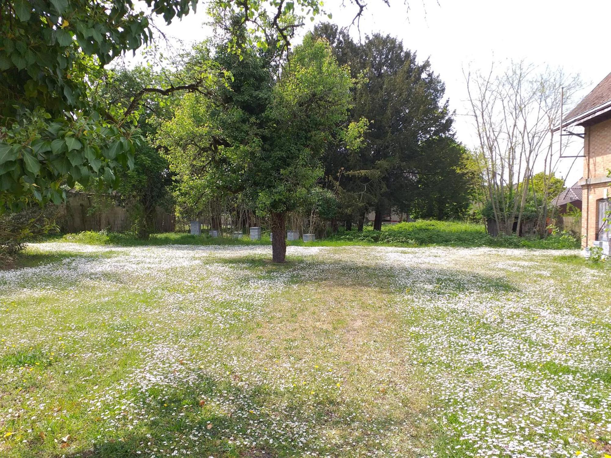 Charmante Maison Vitry-le-Francois Ngoại thất bức ảnh